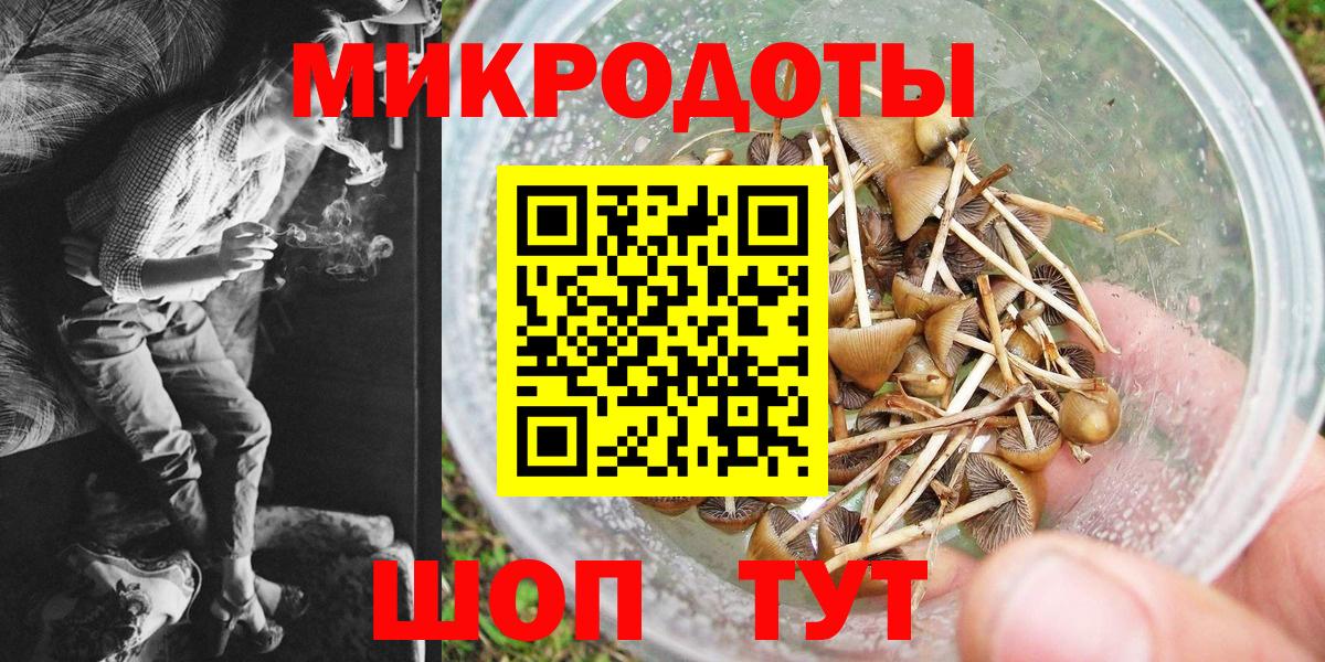 Галлюциногенные грибы Cubensis Первоуральск